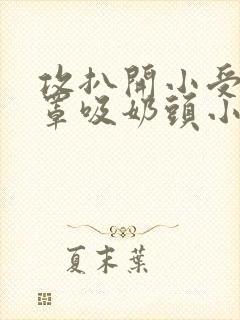 攻扒开小受的胸罩吸奶头小说封面