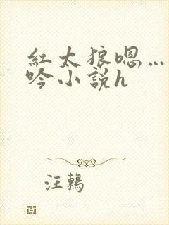 红太狼嗯…啊呻吟小说h