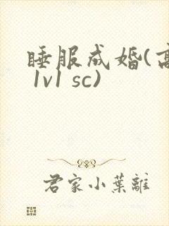 睡服成婚(高h 1v1 sc)