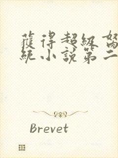 获得超级胬肉系统小说第二部封面