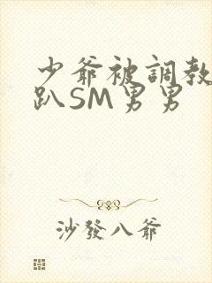 少爷被调教室跪趴SM男男