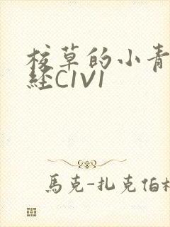 校草的小青梅不经C1V1封面