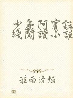 少年阿宾钰慧在线阅读小说txt