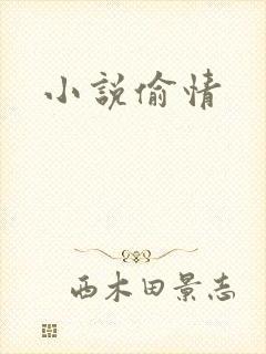小说偷情