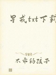 星戒txt下载封面