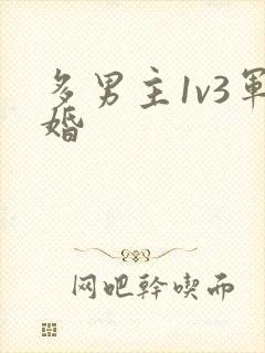 多男主1v3军婚