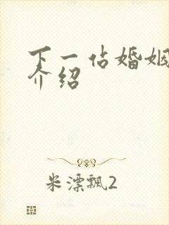 下一站婚姻剧情介绍