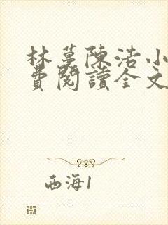 林蔓陈浩小说免费阅读全文最新章节封面