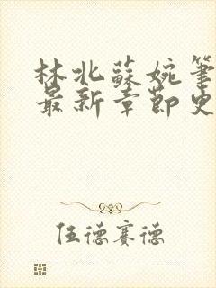 林北苏婉笔趣阁最新章节更新内容