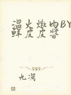 温火炖肉BY海鲜皮皮酱封面