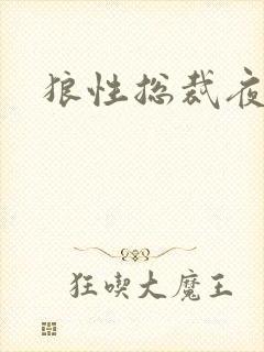 狼性总裁夜欢宠