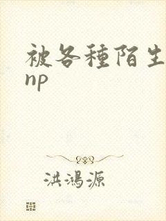 被各种陌生人 np封面