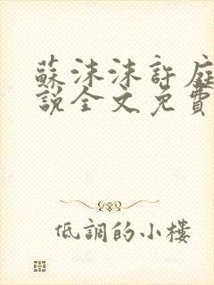 苏沫沫许庭川小说全文免费阅读