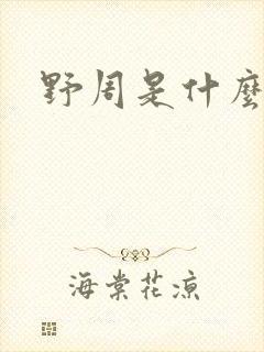 野周是什么意思