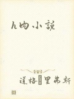 h肉小说