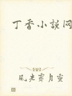 丁香小说网
