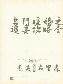 名门暖婚之权爷追妻攻略全文免费阅读