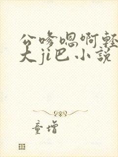 公嗲嗯啊轻点公大ji巴小说封面