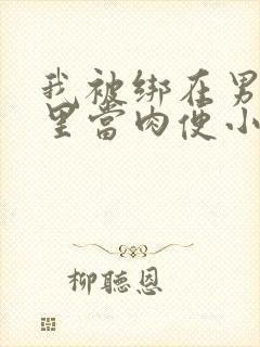 我被绑在男公厕里当肉便小说