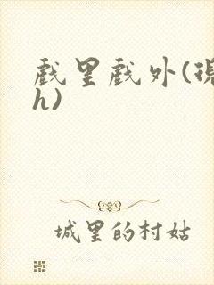 戏里戏外(现场h)