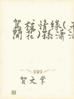 驾校情缘(老树开花)孙潇潇笔趣阁封面