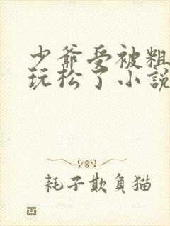 少爷受被粗汉H玩松了小说