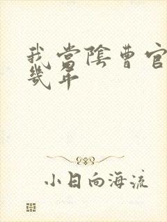 我当阴曹官的那几年封面