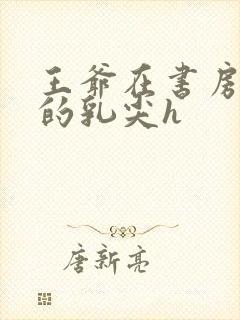 王爷在书房含她的乳尖h封面