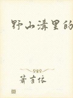 野山沟里的村庄封面