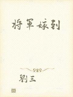 将军嫁到