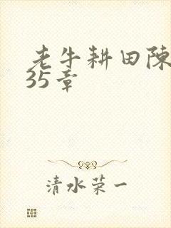 老牛耕田陈雪435章