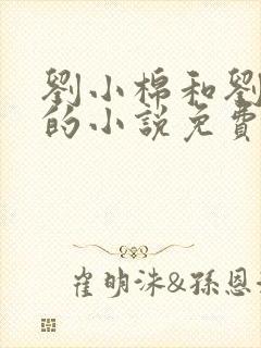 刘小棉和刘易文的小说免费阅读