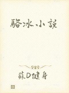 骆冰小说
