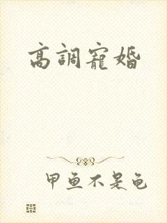 高调宠婚