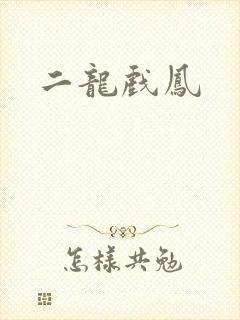 二龙戏凤