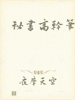 秘书高干笔趣阁封面