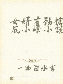 女婿有劲枪枪到底小峰小说