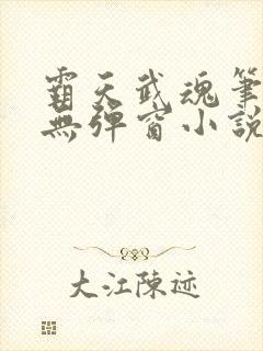 霸天武魂笔趣阁无弹窗小说