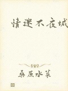情迷不夜城