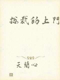 总裁的上门女婿