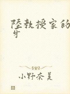 陆教授家的小月牙封面