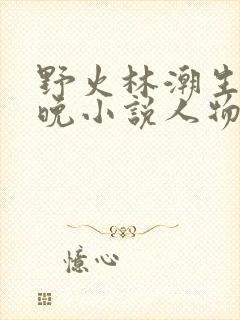 野火林潮生林晚晚小说人物野火