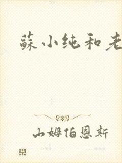苏小纯和老苏
