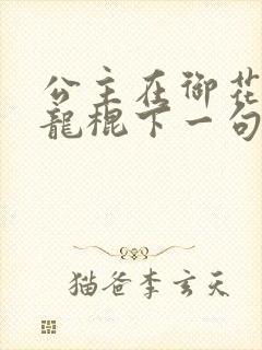 公主在御花园吃龙棍下一句封面