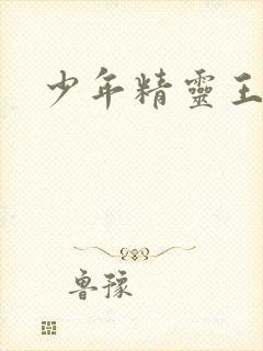 少年精灵王