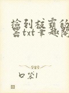 捡到校霸的遥控器txt笔趣阁