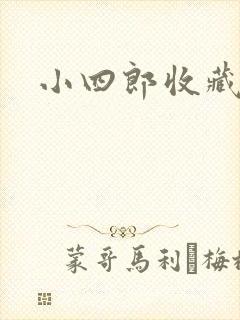 小四郎收藏家封面