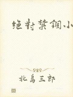 绝对禁锢小说封面