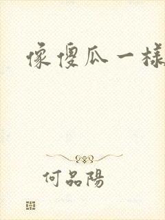 像傻瓜一样去爱