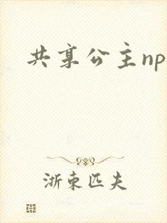 共享公主npc